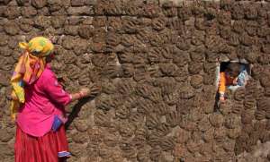 A woman pastes cow dung cakes on a wall as her grandson Sanju peeps from a hole in Molaya village